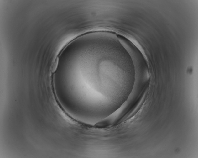 X0000093241197200709261702