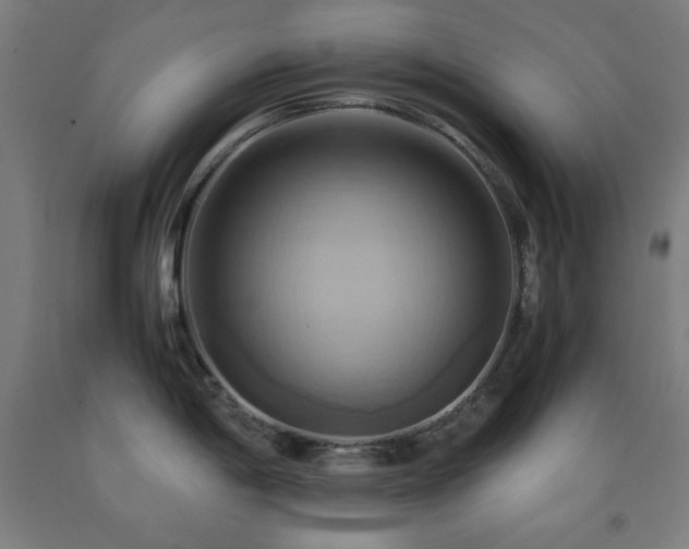 X0000093241198200709261702