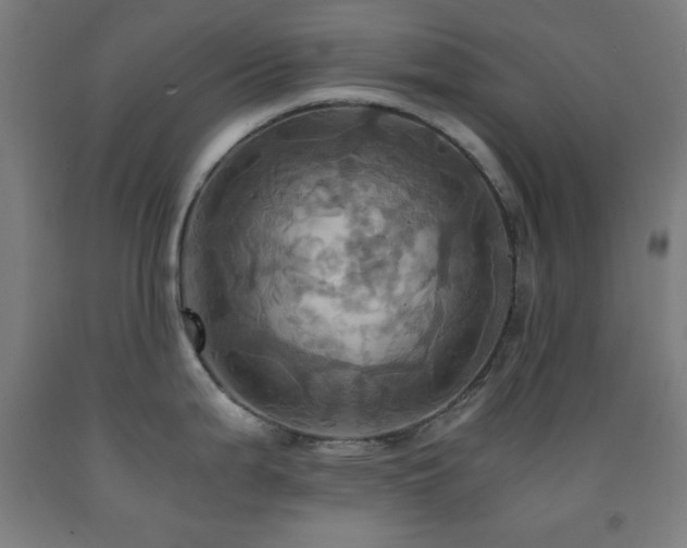 X0000093241199200709261702