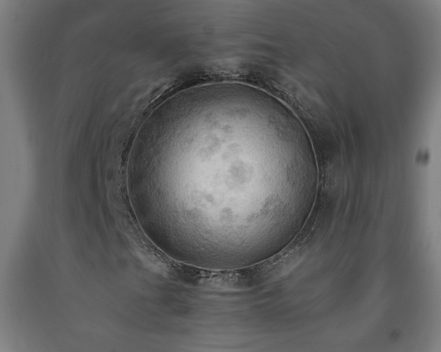 X0000093241201200709261701