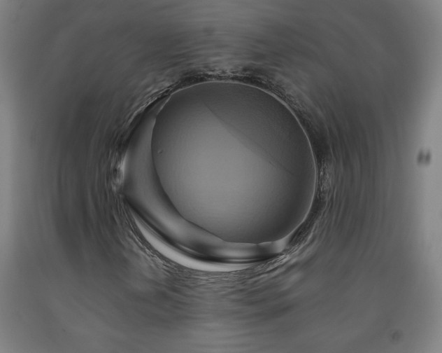 X0000093241202200709261701