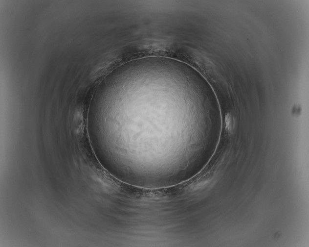 X0000093241203200709261701