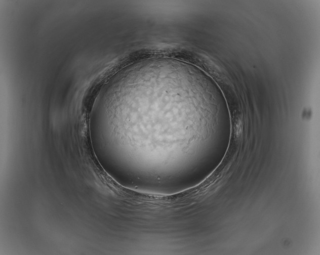 X0000093241204200709261701