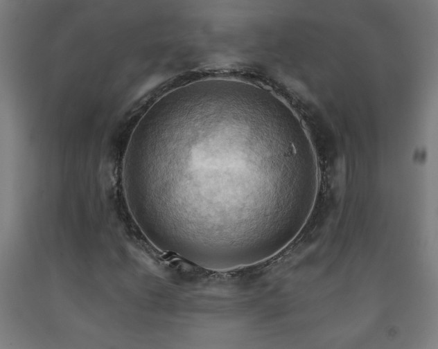 X0000093241206200709261701