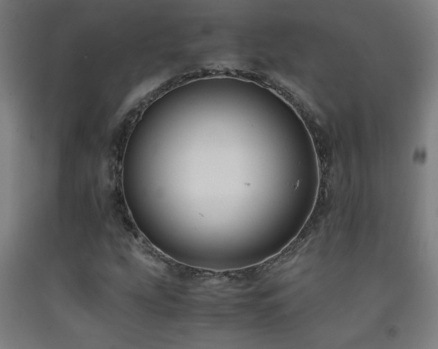 X0000093241207200709261701