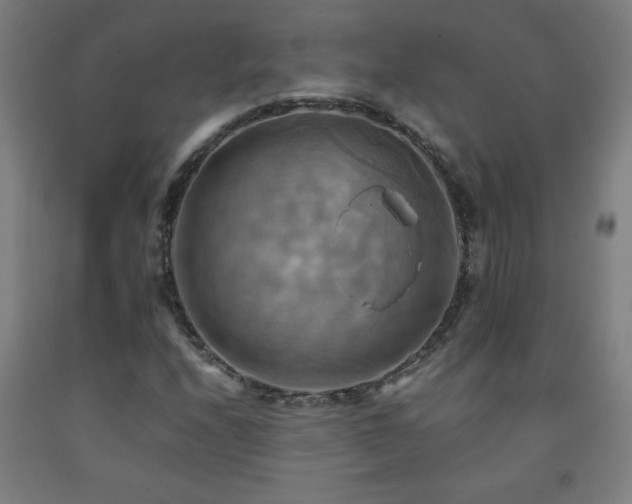 X0000093241208200709261701