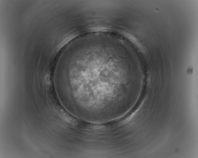 X0000093241209200709261701