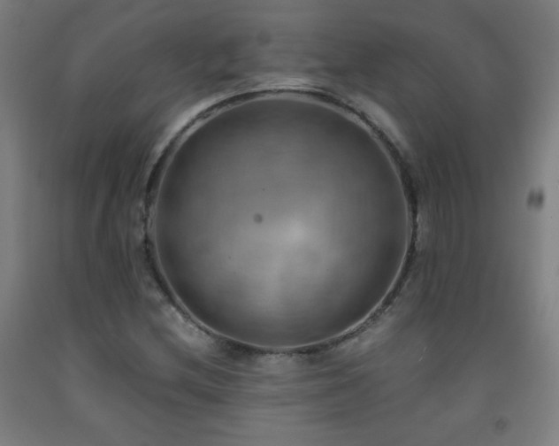 X0000093241212200709261701