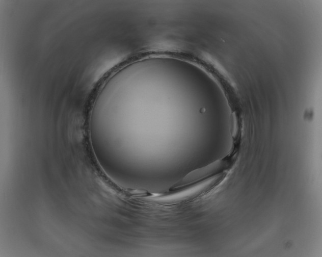 X0000093241213200709261701
