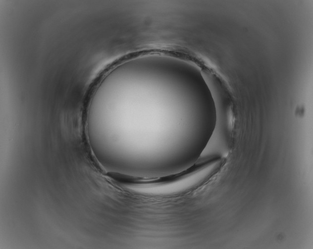 X0000093241214200709261701