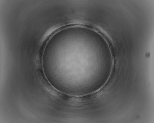 X0000093241215200709261701