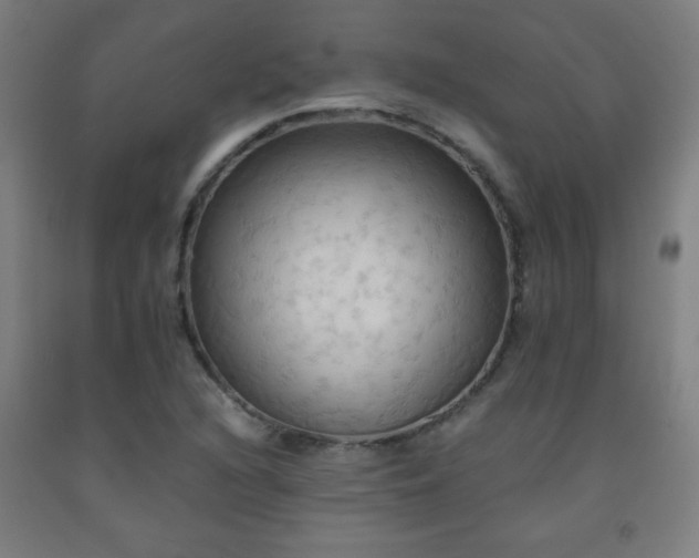 X0000093241216200709261701