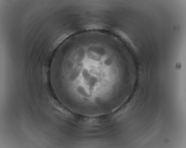 X0000093241217200709261701