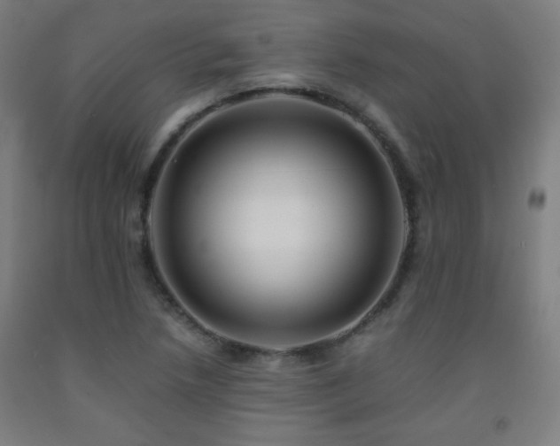 X0000093241218200709261702