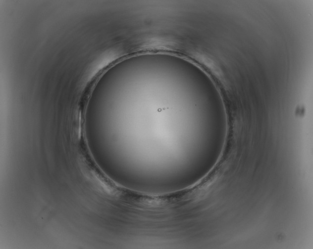 X0000093241219200709261702