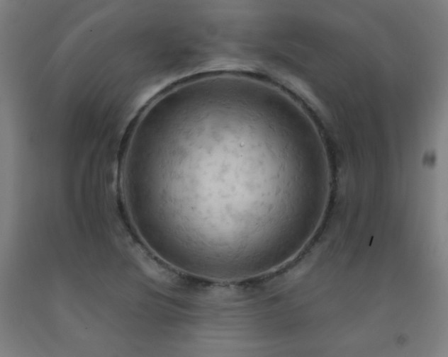 X0000093241220200709261702