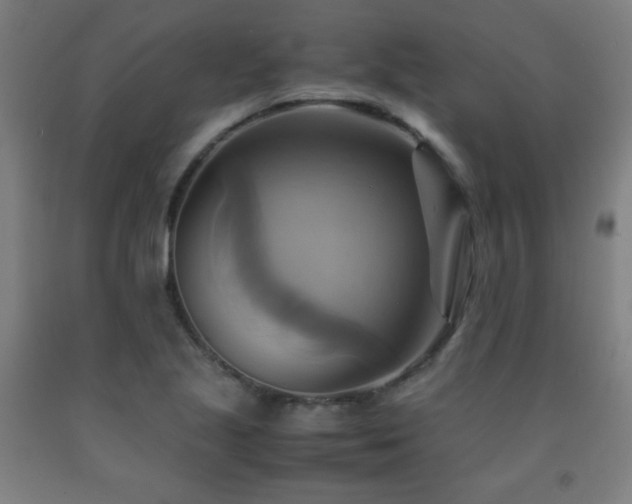 X0000093241221200709261702