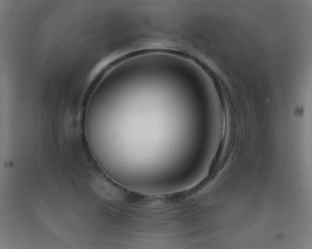 X0000093241222200709261702