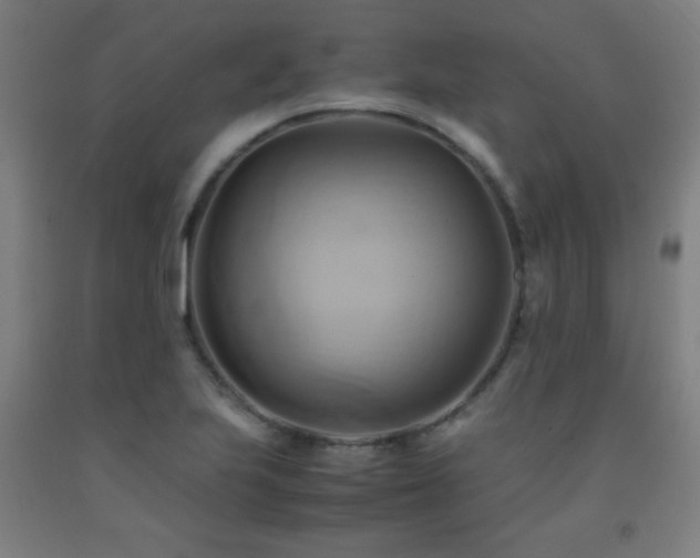 X0000093241223200709261702