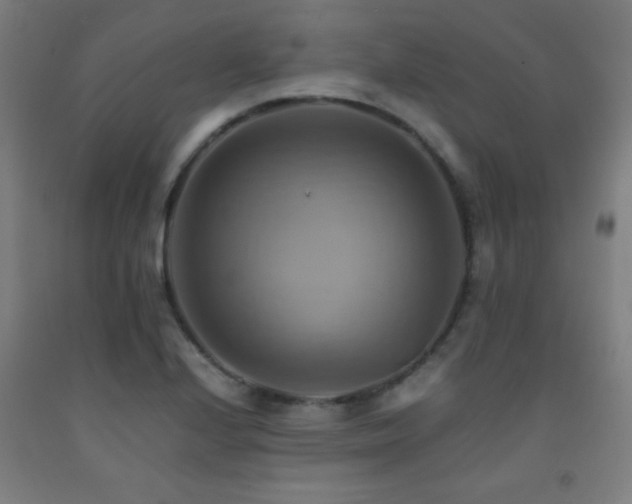 X0000093241224200709261702