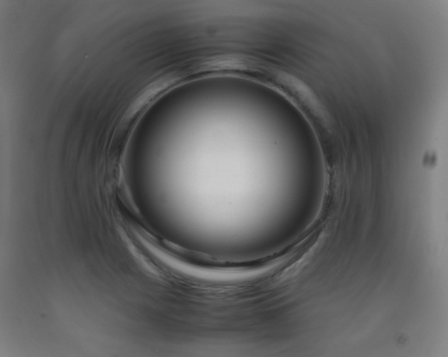 X0000093241225200709261702