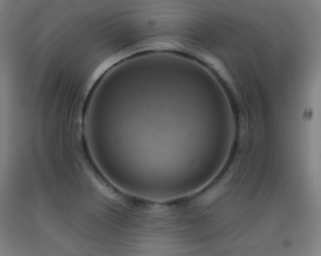 X0000093241226200709261702