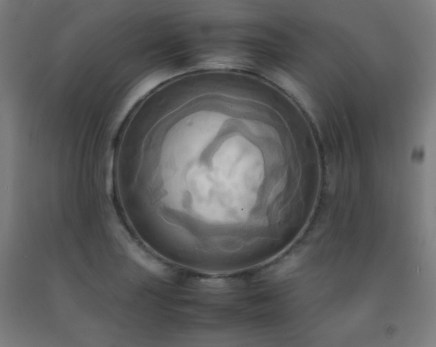 X0000093241227200709261702