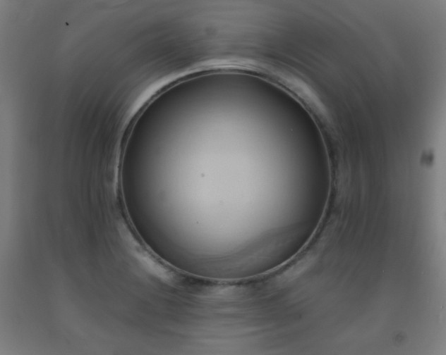 X0000093241228200709261702