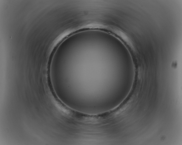 X0000093241229200709261702
