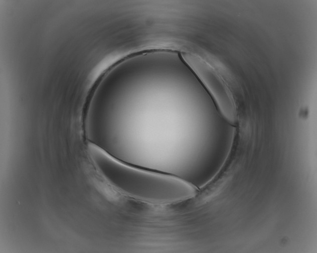 X0000093241230200709261702