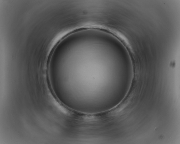 X0000093241231200709261702