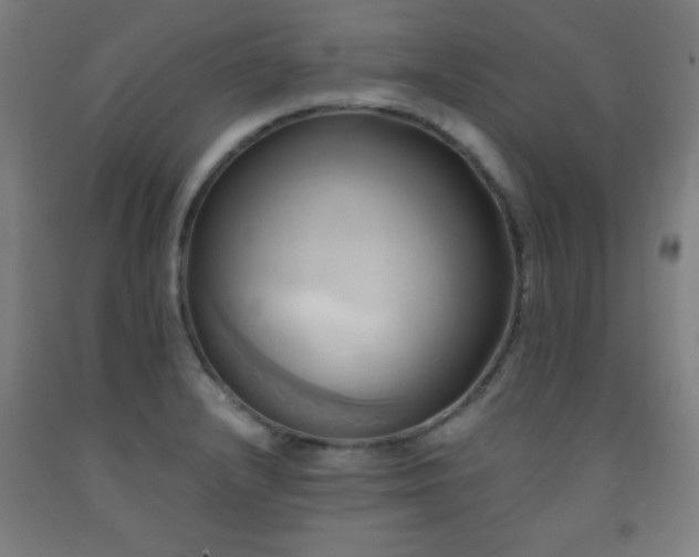 X0000093241232200709261702
