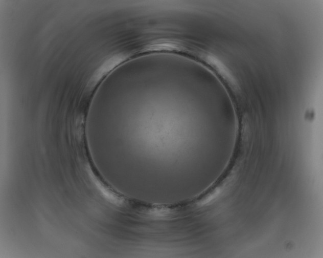 X0000093241233200709261702