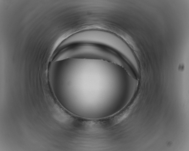 X0000093241234200709261702