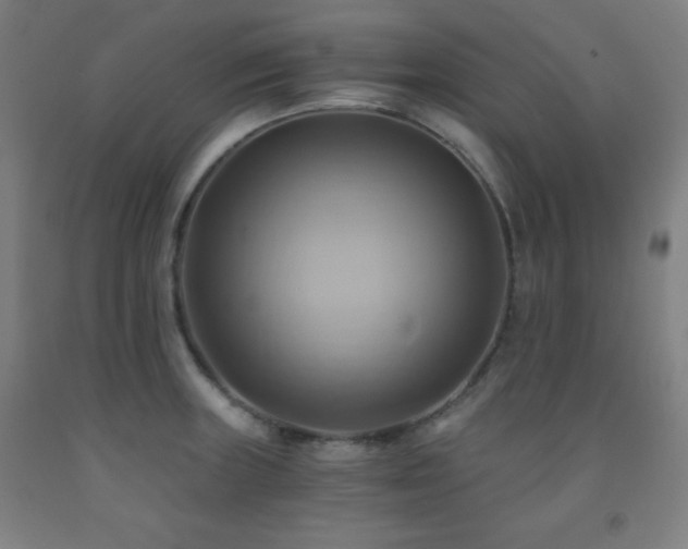 X0000093241235200709261702