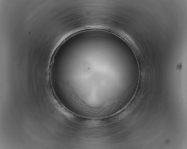 X0000093241236200709261702