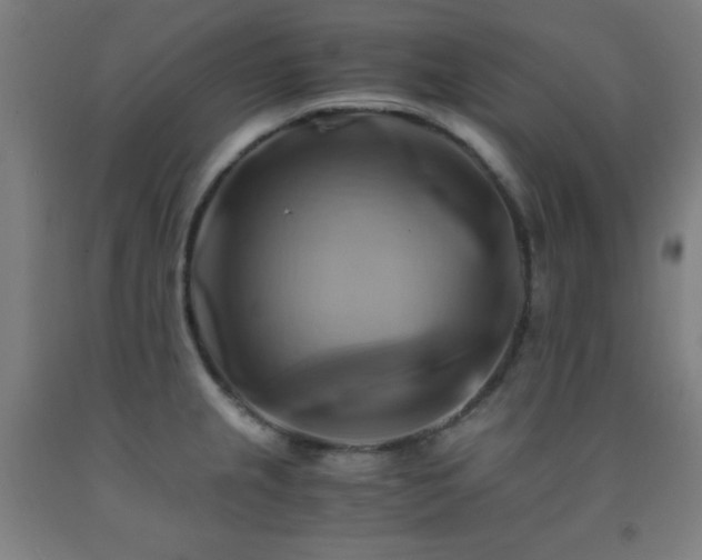 X0000093241237200709261702
