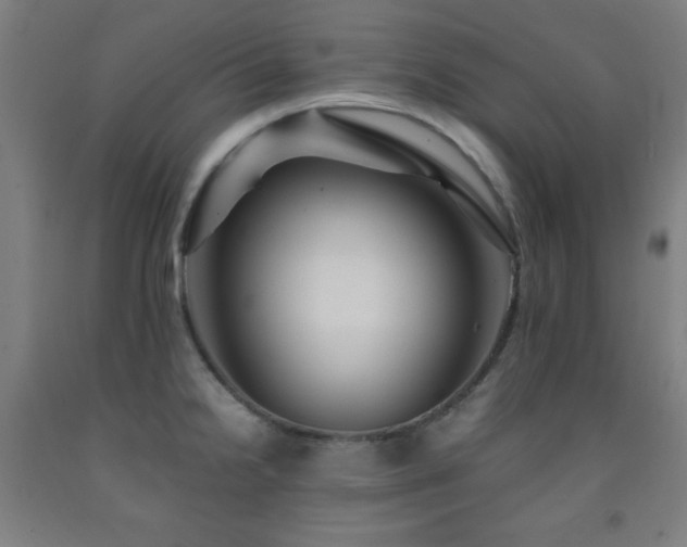 X0000093241238200709261702