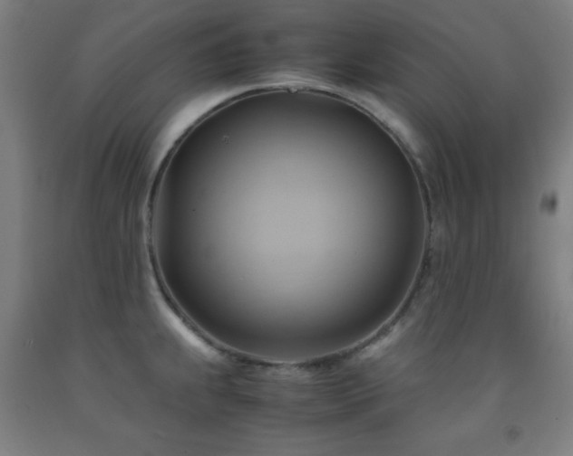 X0000093241239200709261702