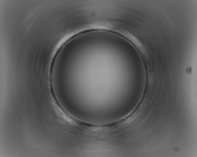 X0000093241240200709261702