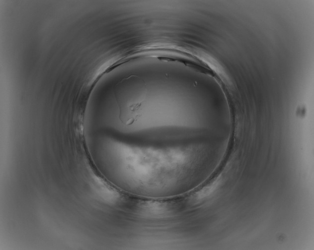 X0000093241241200709261702