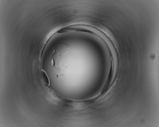 X0000093241242200709261702