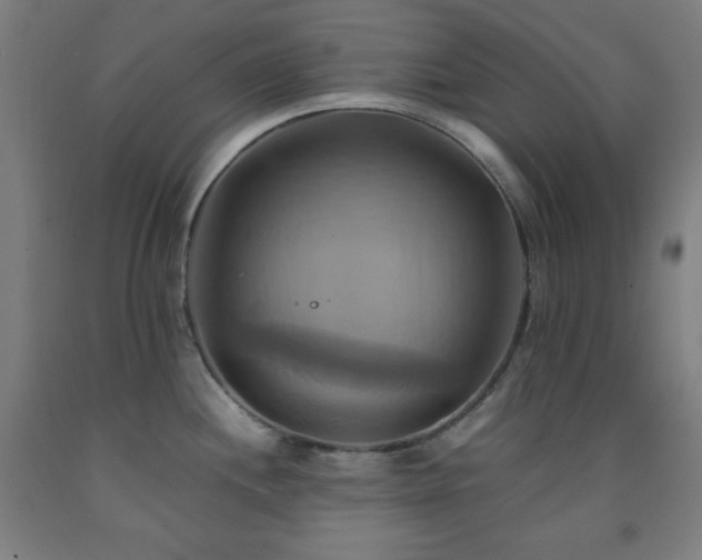 X0000093241244200709261702