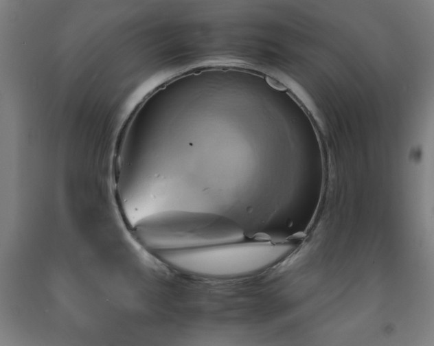 X0000093241245200709261702
