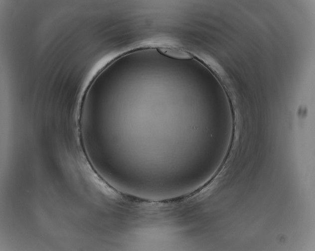 X0000093241248200709261702