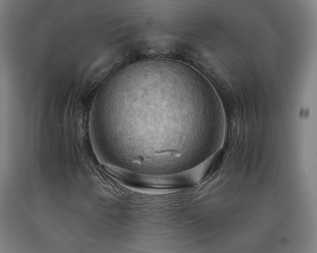 X0000093241250200709261701