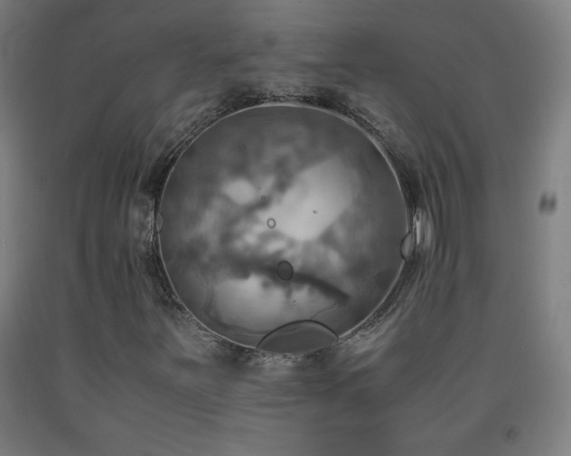 X0000093241251200709261701