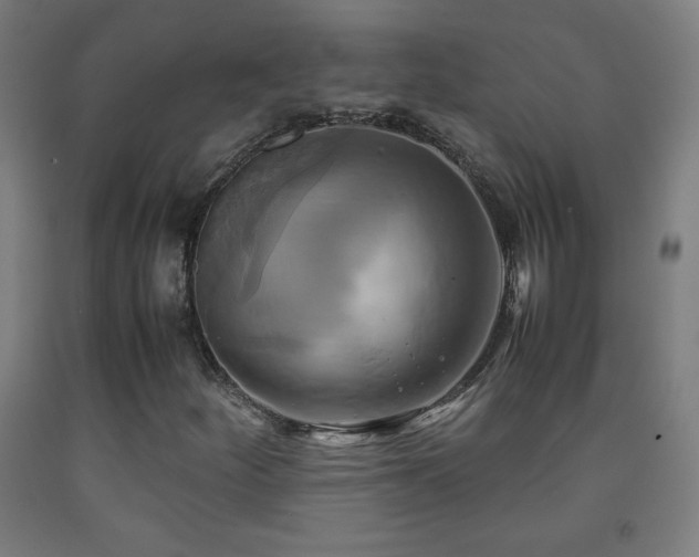 X0000093241252200709261701
