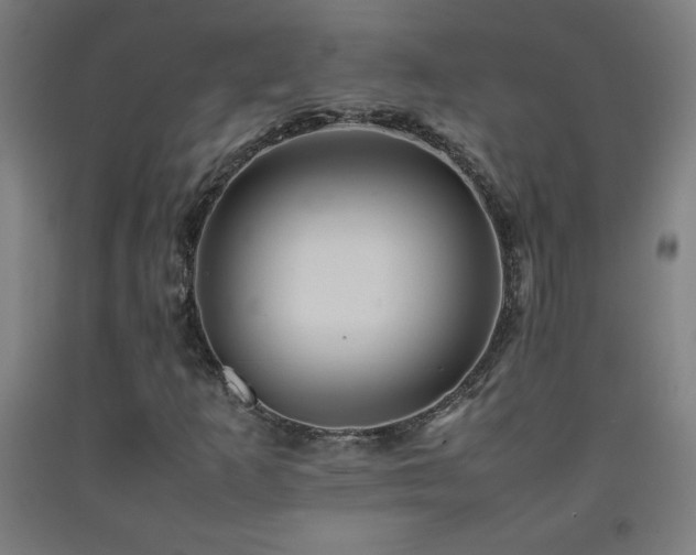 X0000093241253200709261701