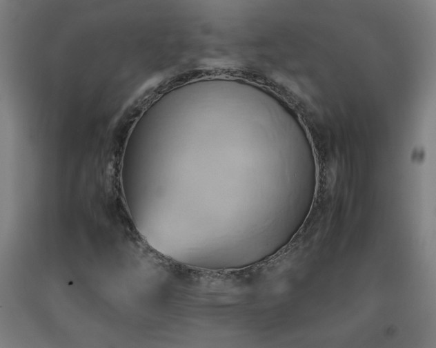 X0000093241254200709261701